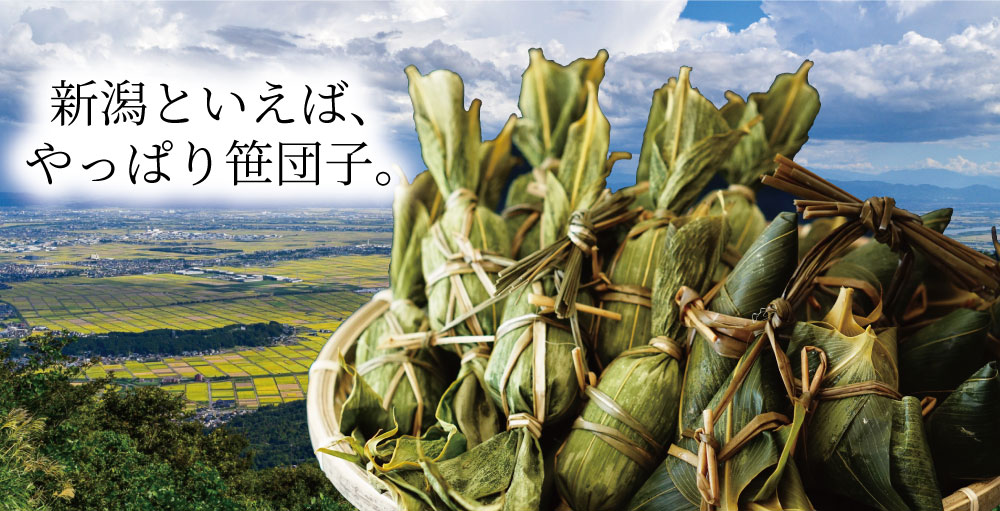 マルイネット 越後名産手造り笹だんご つぶあん 10個入り Web限定